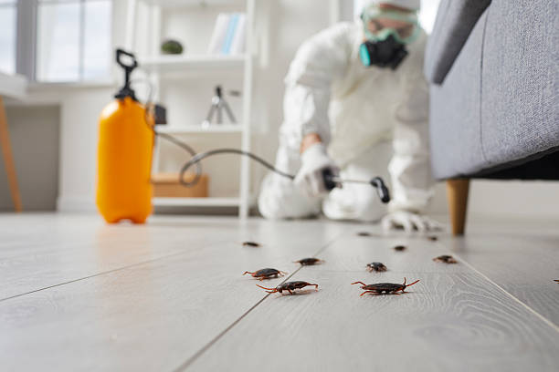 Trusted Cockroach Control service in Gordonsville, VA - Nex Pest Control